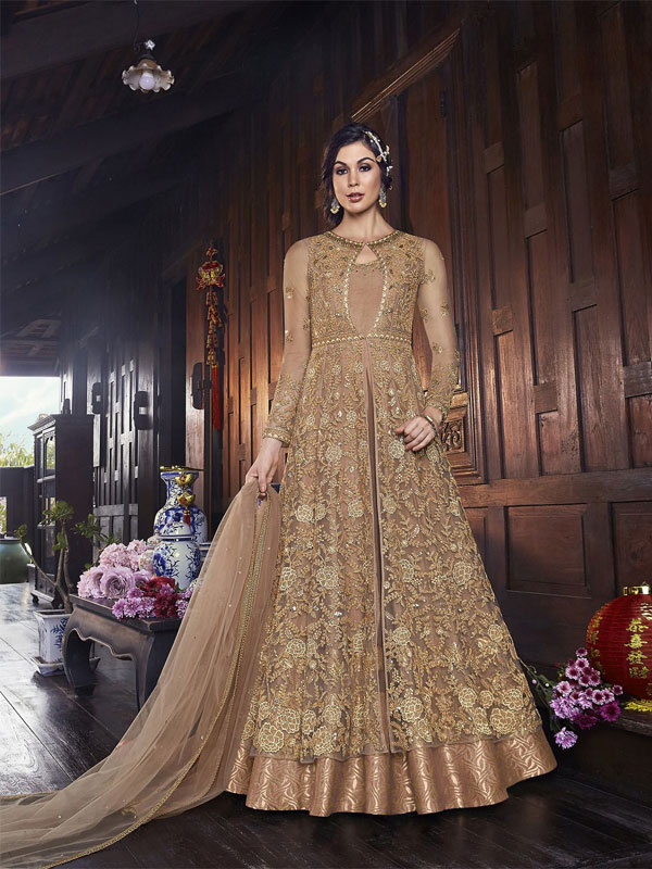 Amazing Olive with Multicolor Color Work Anarkali Gown With